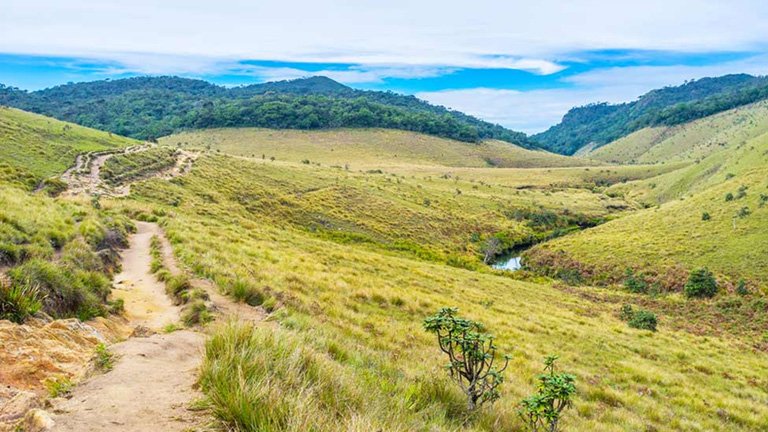 Horton Plains National Park Plateau and Cloud Forests